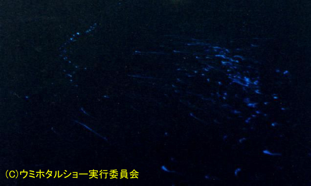 集団自然発光